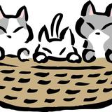 もちもちのもち