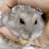 一ノ瀬【デザインおまかせ屋さん】