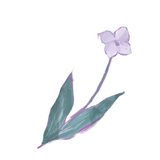 3時間 小実