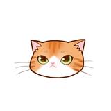 ゆーくん_雑談、愚痴、相談事なんでもOK