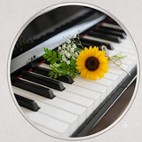ひまわり Piano