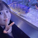 momoka03140