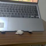 YS__WEBサイト制作
