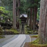 四柱推命鑑定士しおん