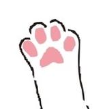 ね こ の て