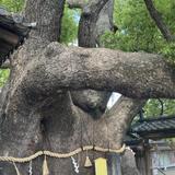 こころ電話相談