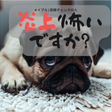 メイプル動画確認