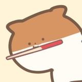 猫箸neko