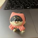 芝まる
