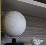 ナカムラカメラ