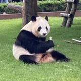 ここなっつみかん