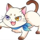 キャットスター☆