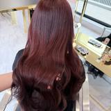 apricot_tasyumi