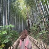 大友果帆