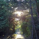 清華庵