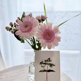 nonflower