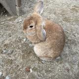 むぎの相談部屋