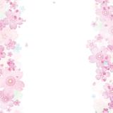 kinakomothi。