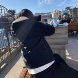 ディズニーやユニバ大好きパパ
