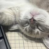 答えが出ない時に話せる人｜マリエ