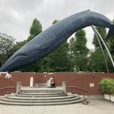 Toku0504