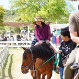 AnimalWellnessClinic