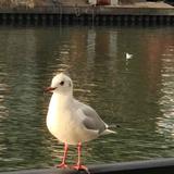 Satoshi_777