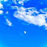 【Nenia】ねーにあ