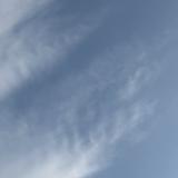 erika_721