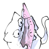 ネコカカカン