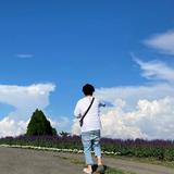 ウェブさん
