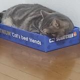 ジャック船長のおしゃべり広場