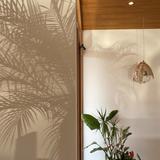 CGStudio