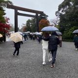 和製　キャサリン