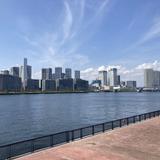 HOSHI_KIKAKU