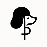 Plutoid