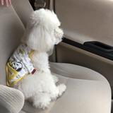 八王子動画編集マン