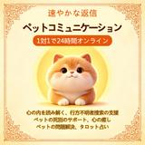 ふわねこ日記