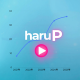 556haruPP