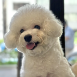 ふわふわBon