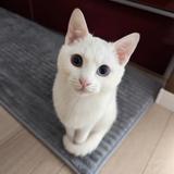 ENDO 正社員ジョブホッパー