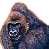 岩手に生息するゴリラ