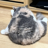 oakinosuke