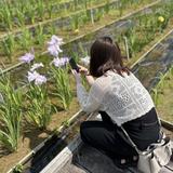 岡田紗佳