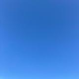 Marin 英語講師