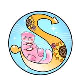 スタートミュージック