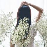 ブシェ望