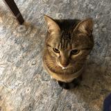 うるかす◇公認心理士◇