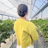 もびめ
