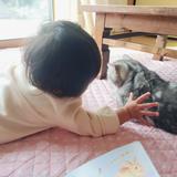 わらびもち大好き